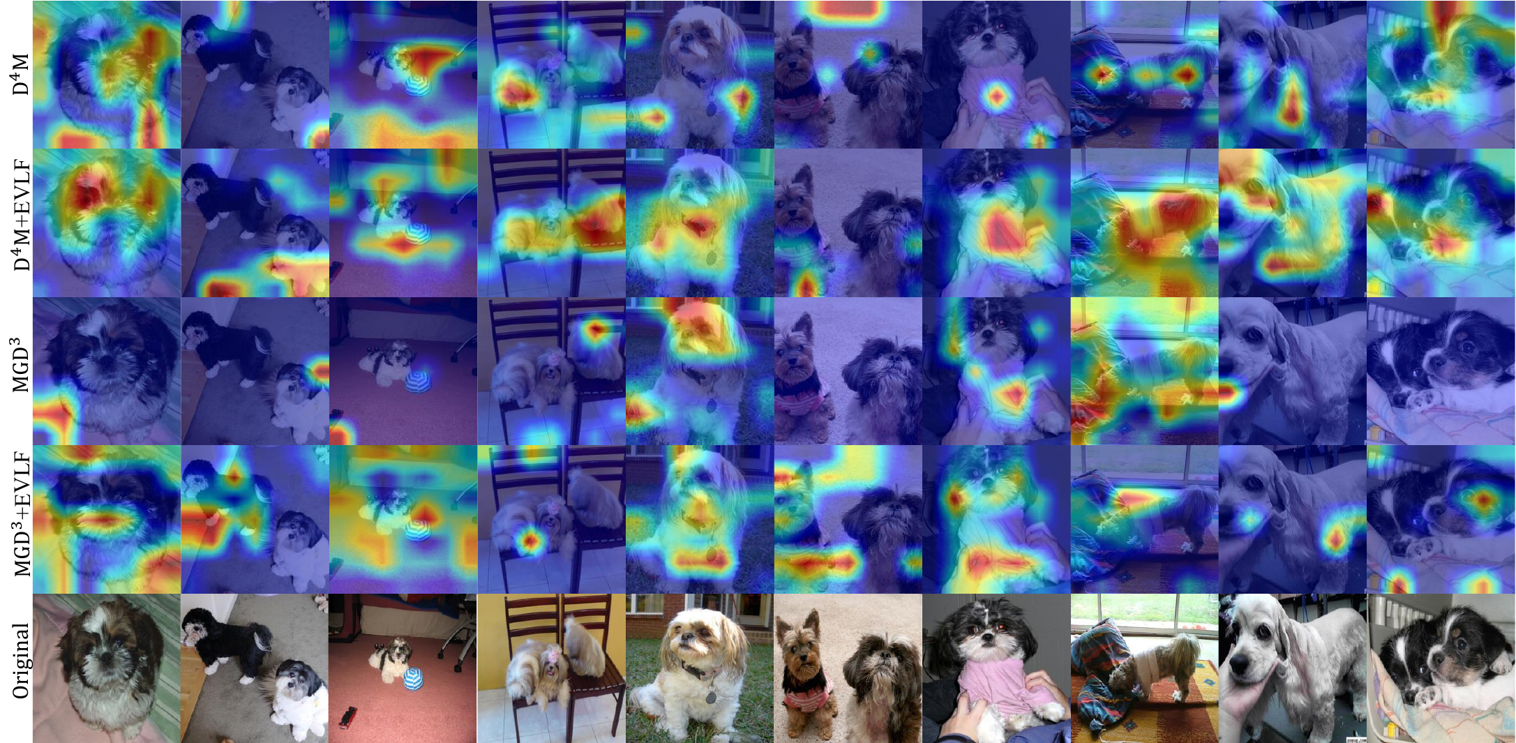 Grad-CAM comparison figure